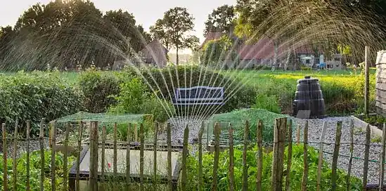 Eco-friendly záhrada: Ako pestovať, hnojiť a kompostovať ovocie a zeleninu?