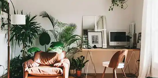 Ako na štýl urban jungle