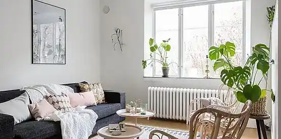 10 izbových rastlín, ktoré čistia vzduch