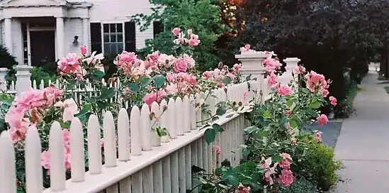 Plot ako dekorácia, nie len hranica II.