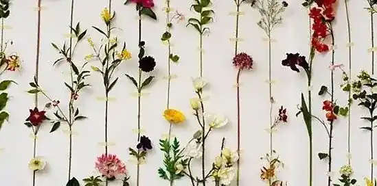 Čo môžete očakávať od umelých kvetov?