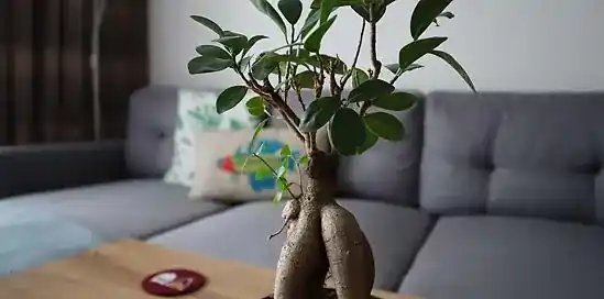 Biano Blogger: V interiéri nesmie chýbať DIY doplnok, aby som sa cítila ako doma