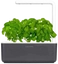 na bylinky