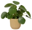 plastové