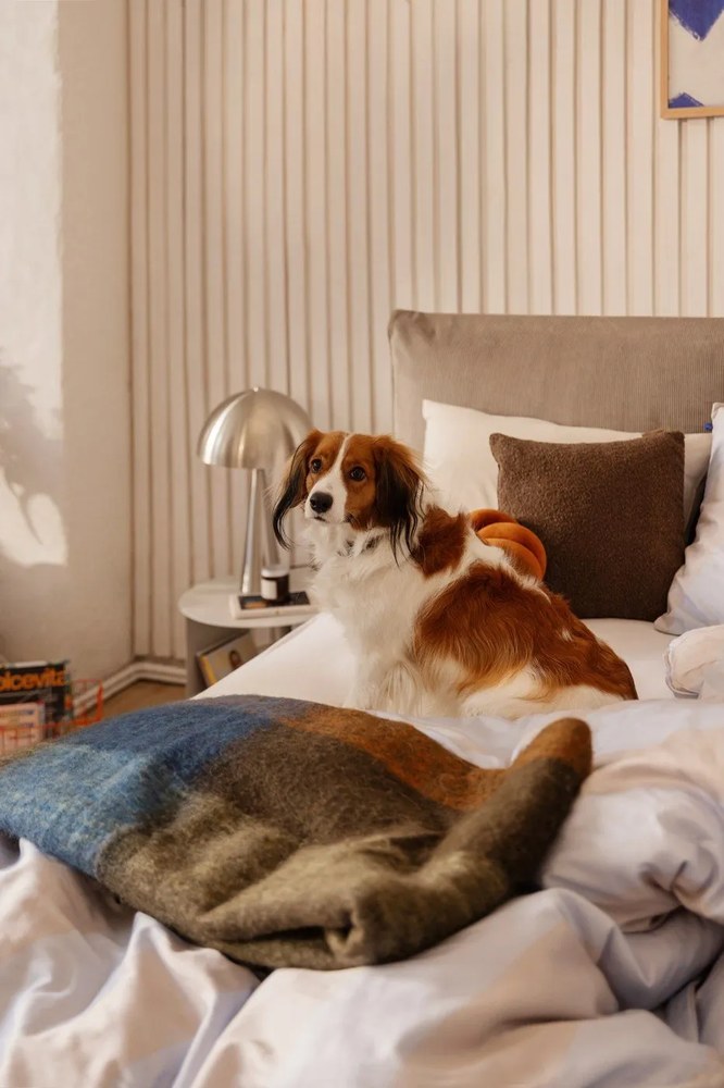 Tmavosivá LED stmievateľná stolová lampa (výška 20 cm) Mush – Hübsch