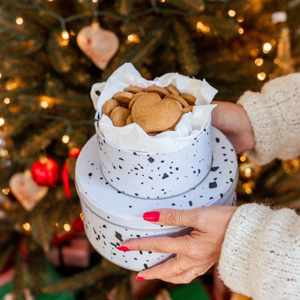 Kovové dózy v súprave 3 ks na cukrovinky Speckled – Premier Housewares