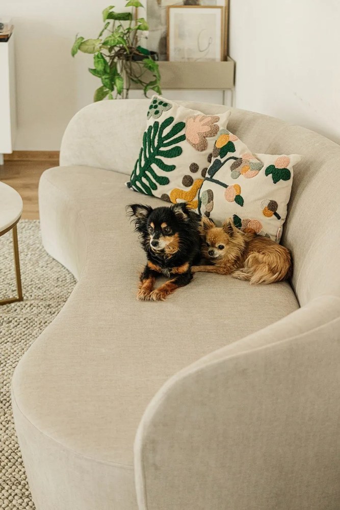 Konferenčný stolík Actona Alisma Golden, ⌀ 80 cm