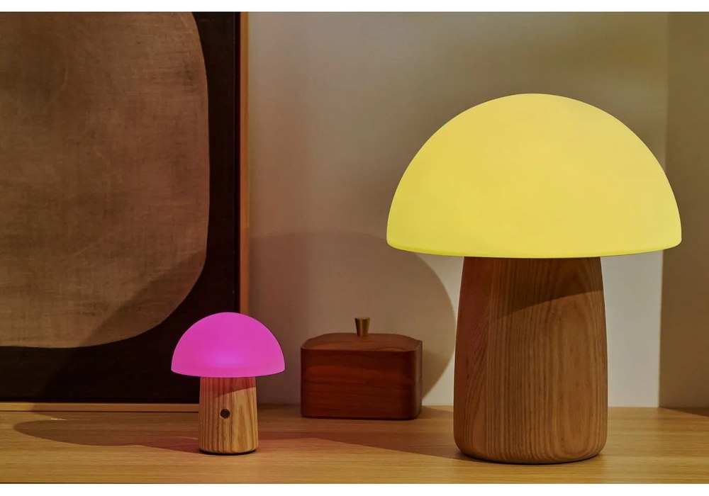 Stmievateľná stolová lampa v prírodnej farbe so skleneným tienidlom (výška 32 cm) Alice - Gingko