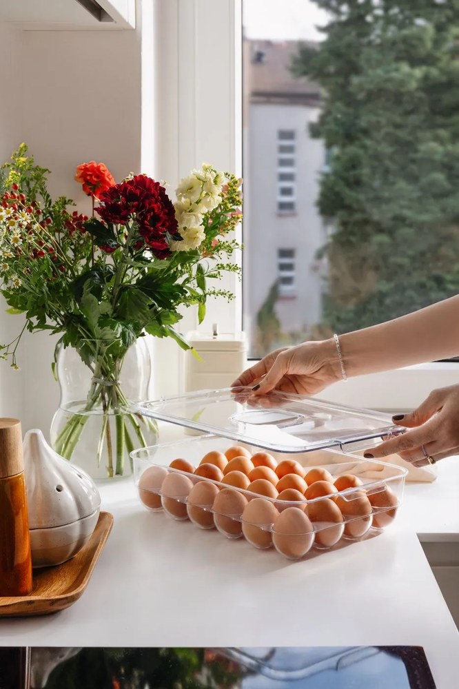 Plastový organizér do chladničky na vajíčka 33x21 cm – Casa De Engel