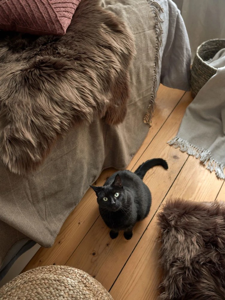 Hnedá umelá kožušina Tiseco Home Studio Fox, 50 x 80 cm