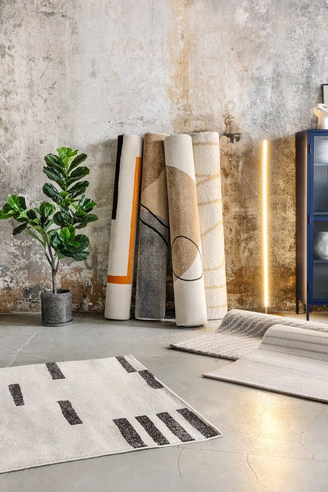 Sivý koberec 160x230 cm Coastalina – Bonami Selection