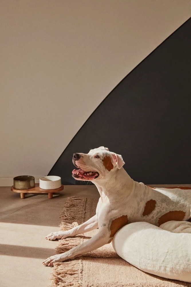 Keramické misky v súprave 2 ks pre psov Dumbi - Kave Home