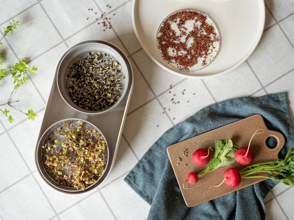 12-dielna súprava béžovej kameniny Bonami selection Malia