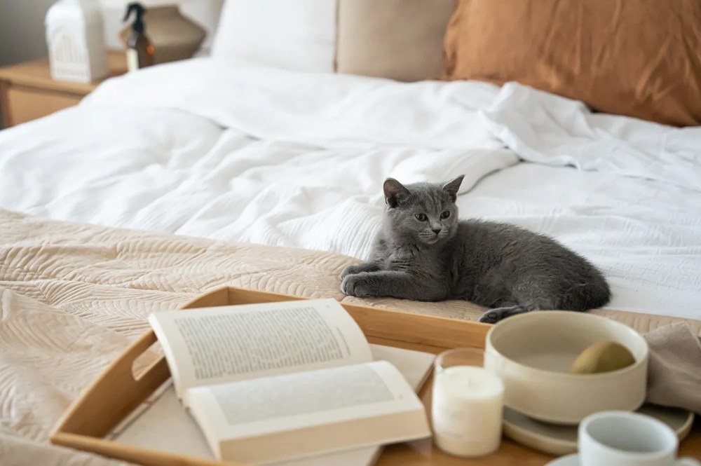 18-dielna súprava béžovej kameniny Bonami selection Malia