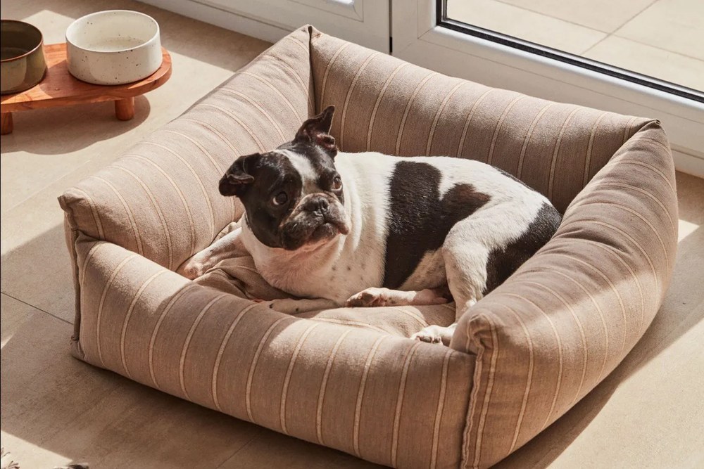 Keramické misky v súprave 2 ks pre psov Dumbi - Kave Home