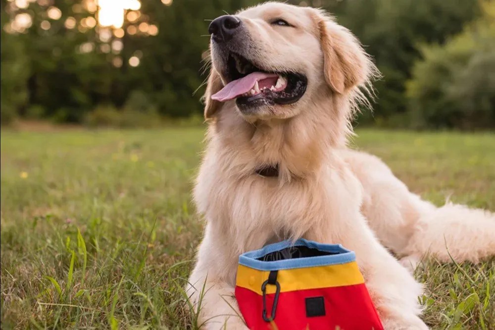 Textilná skladacia cestovná miska ø 18 cm Sunrise – P.L.A.Y.