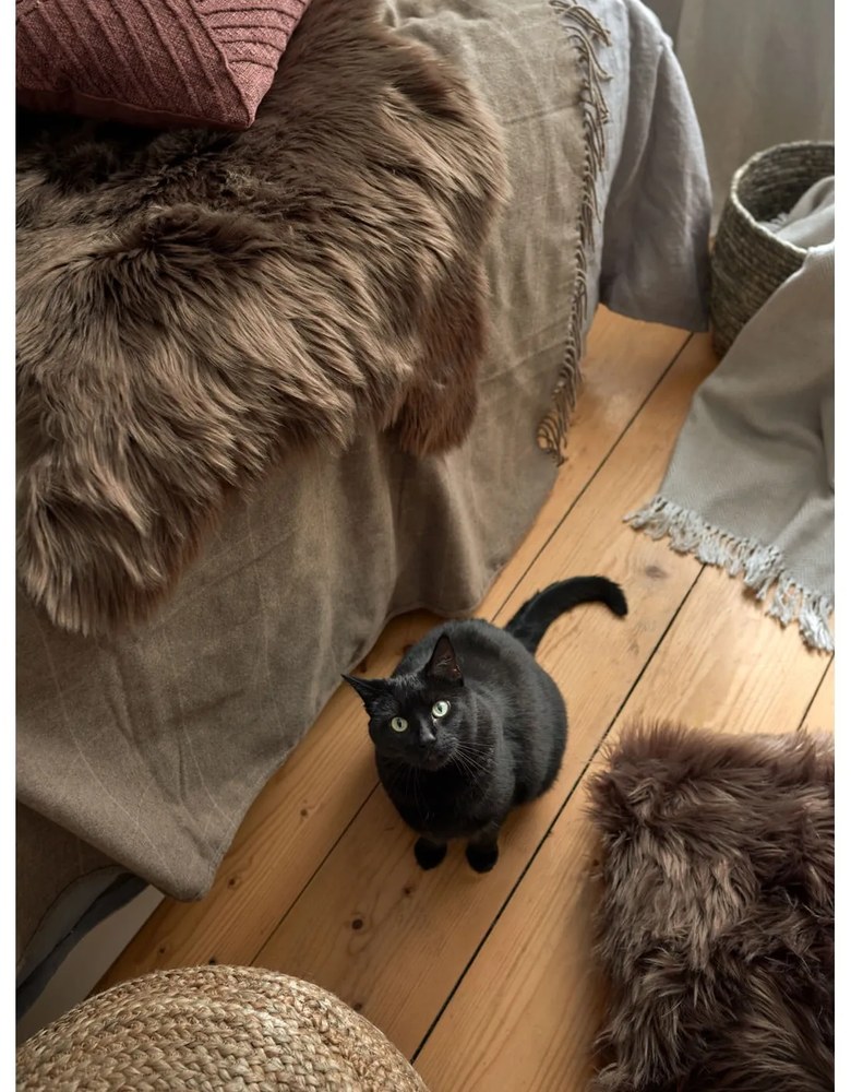 Dekoračný vankúš 45x45 cm - Tiseco Home Studio