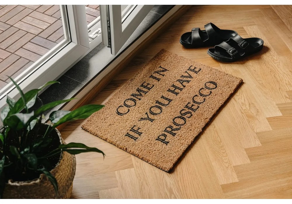 Rohožka z kokosového vlákna 40x60 cm Prosecco – Artsy Doormats
