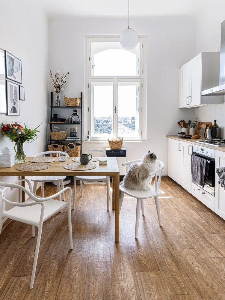 Súprava 2 bielych jedálenských stoličiek Bonami Selection Dali Chaur