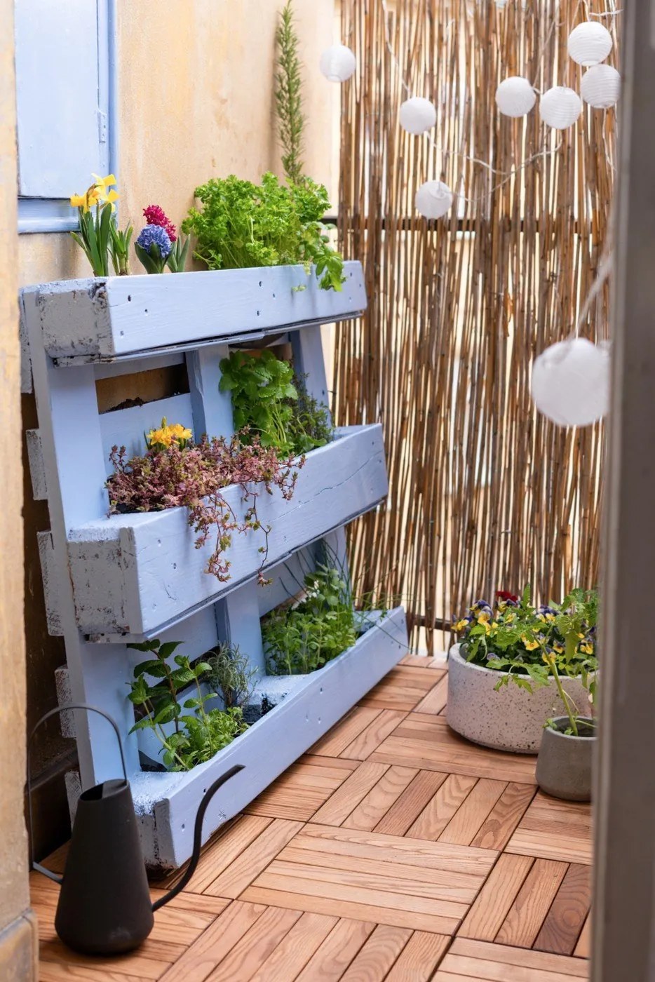 miestnosť od Bonami.sk