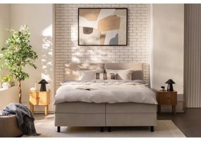 Umelý fikus (výška 180 cm) Ficus – Kave Home