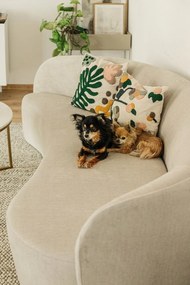 Konferenčný stolík Actona Alisma Golden, ⌀ 80 cm