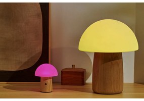 Stmievateľná stolová lampa v prírodnej farbe so skleneným tienidlom (výška 32 cm) Alice - Gingko