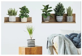 Samolepka na stenu 60x35 cm 3D effect Green Plants - Ambiance