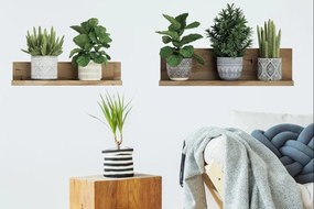 Samolepka na stenu 60x35 cm 3D effect Green Plants - Ambiance