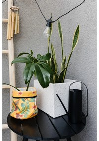 Čierna oceľová kanvička Zone Herb &amp; Sprout, 0,75 l