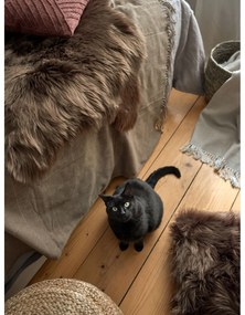 Dekoračný vankúš 45x45 cm - Tiseco Home Studio