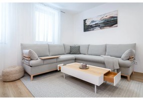 Sivý vonkajší koberec NORTHRUGS Coin, 200 x 290 cm