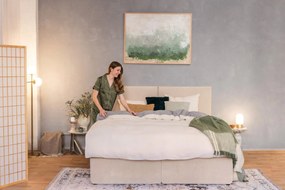 Slonovinový koberec 154x230 cm Springs – Universal