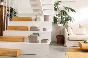 Úložný plastový košík 28x28x27 cm Softex – Curver