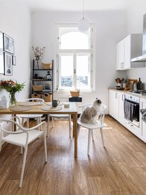 Súprava 2 bielych jedálenských stoličiek Bonami Selection Dali Chaur