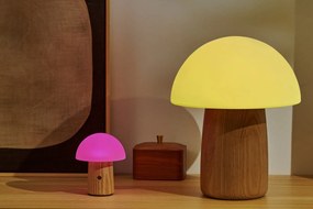 Stmievateľná stolová lampa v prírodnej farbe so skleneným tienidlom (výška 13 cm) Alice – Gingko