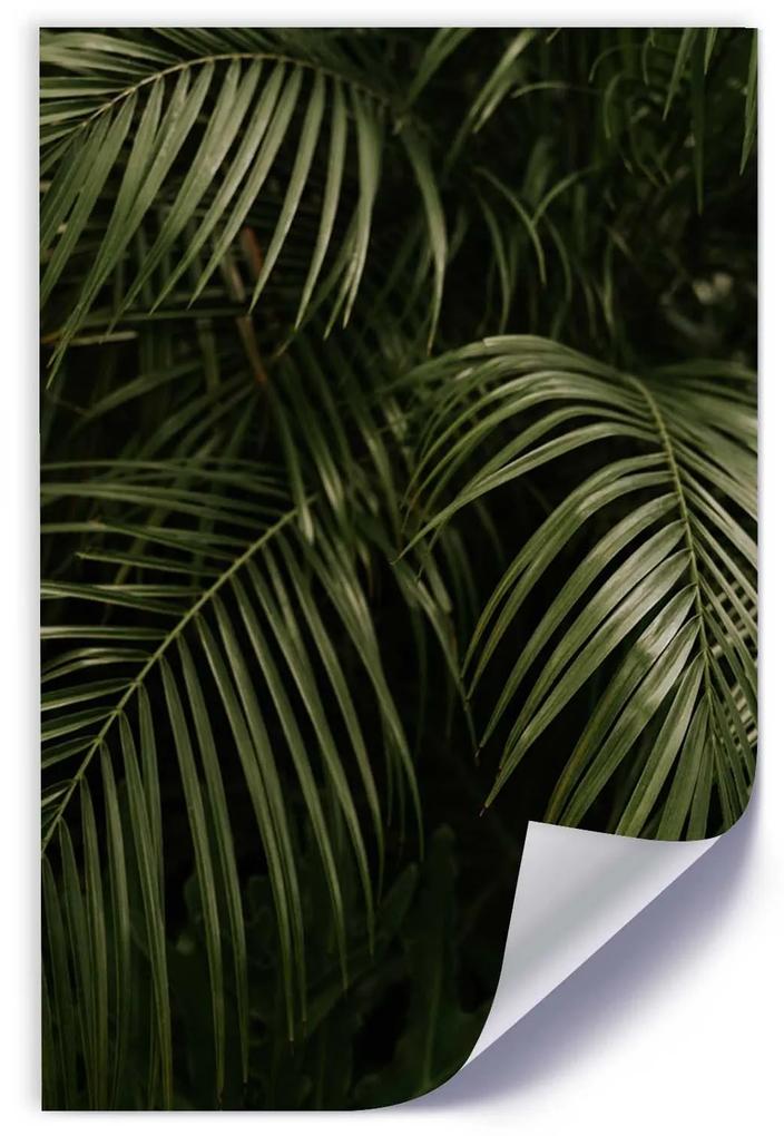 Gario Plagát Exotické palmové listy Farba rámu: Bez rámu, Rozmery: 40 x 60 cm