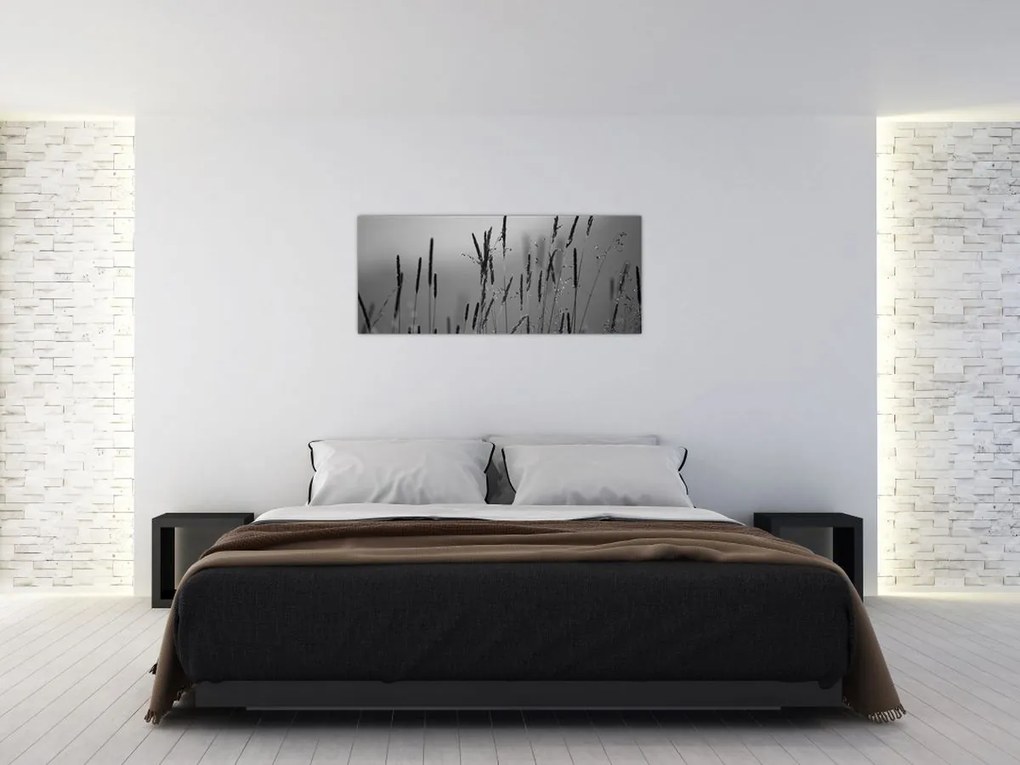 Obraz - Steblá trávy (120x50 cm)