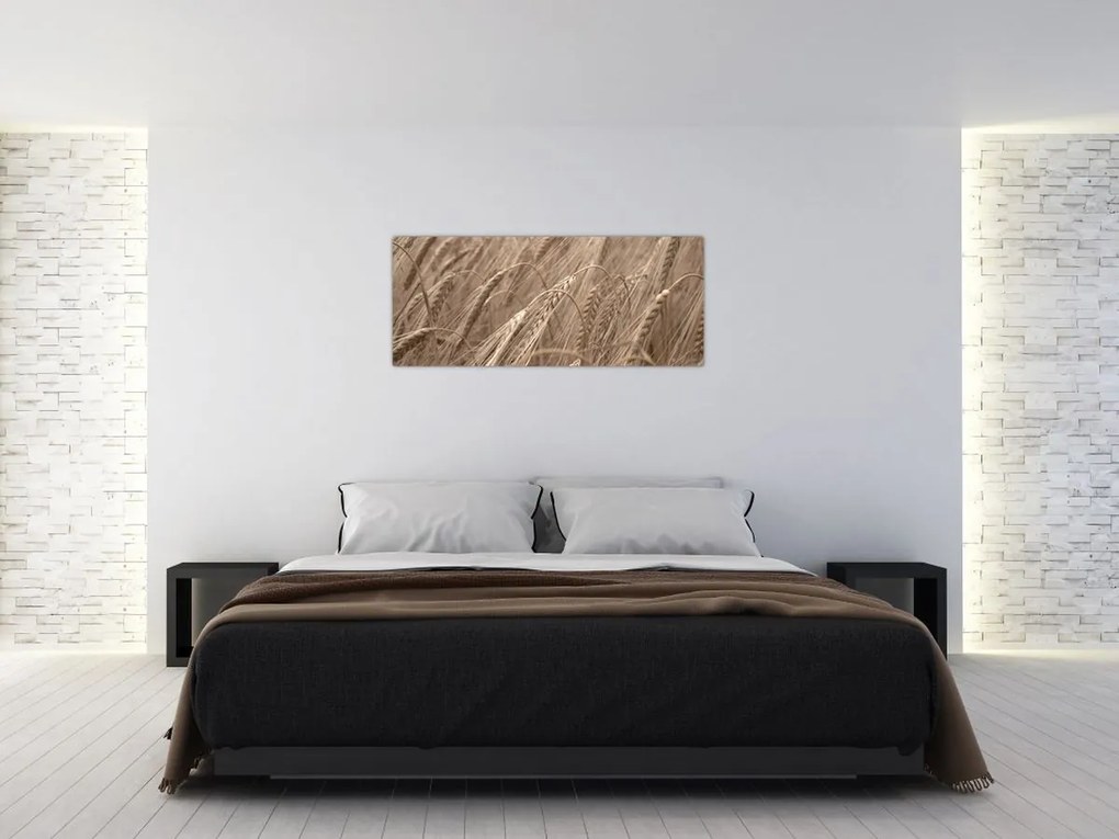 Obraz - Zlaté pole (120x50 cm)