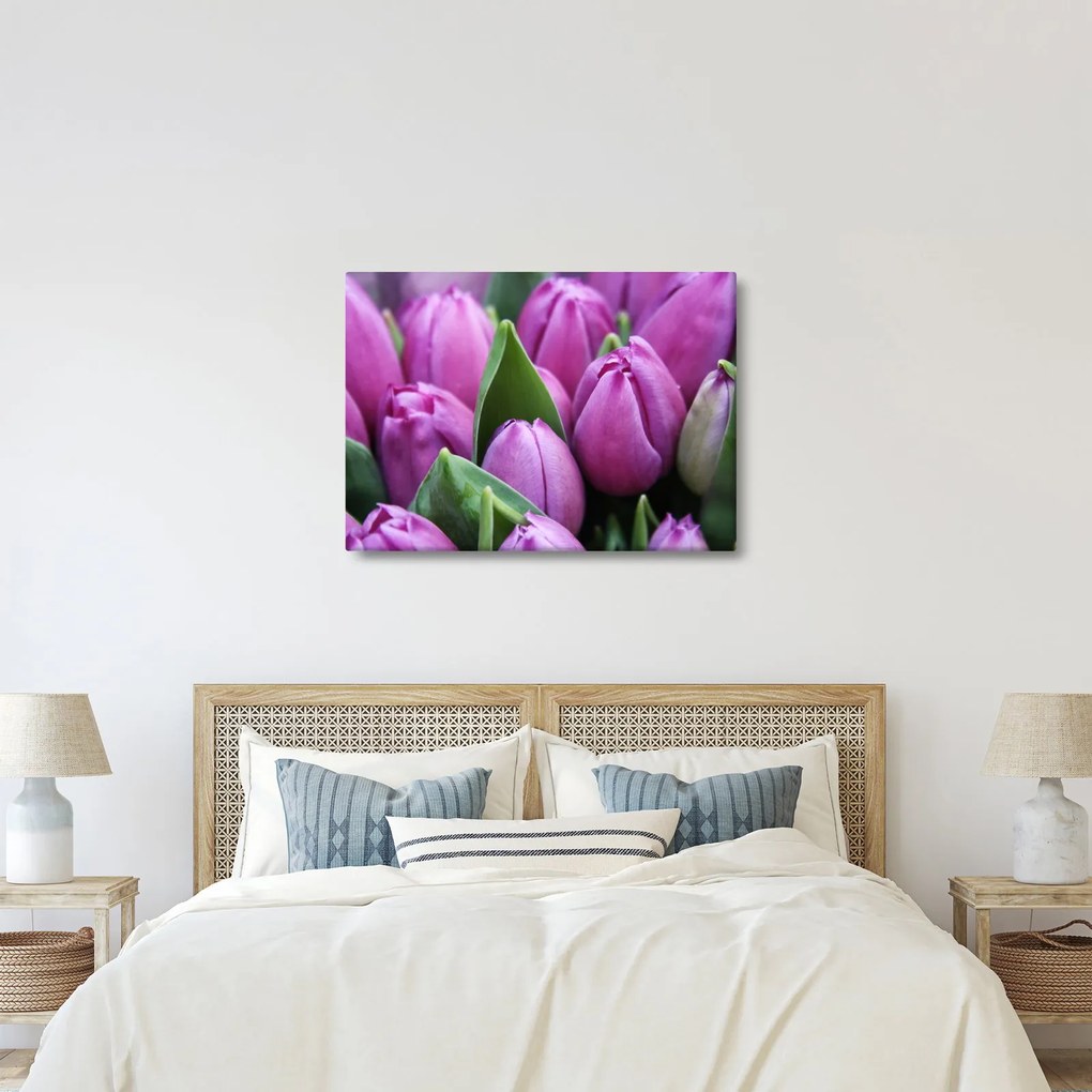 Obraz - kvety tulipánov (70x50 cm)