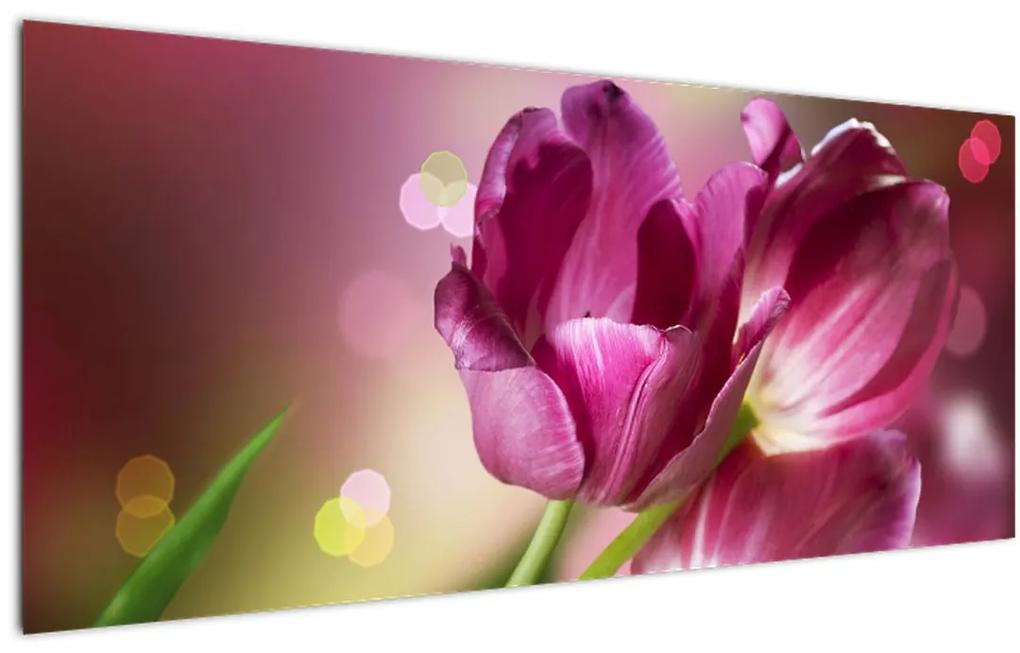 Obraz ružových tulipánov (120x50 cm)