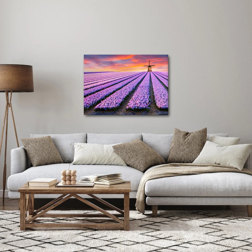 Obraz - kvetinová farma (70x50 cm)