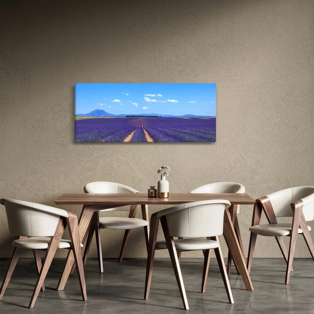 Obraz - Levanduľové pole (120x50 cm)