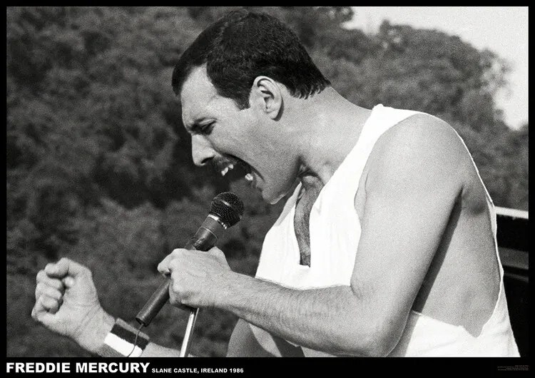 Plagát, Obraz - Freddie Mercury - Slane castle, Ireland 1996, (84.1 x 59.4 cm)