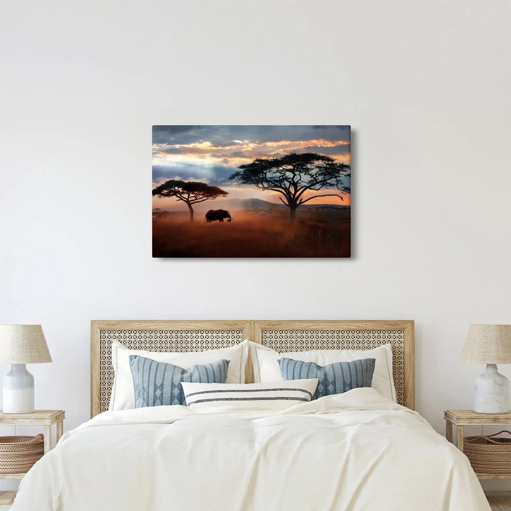 Obraz - Národný park Serengeti, Tanzánia, Afrika (90x60 cm)