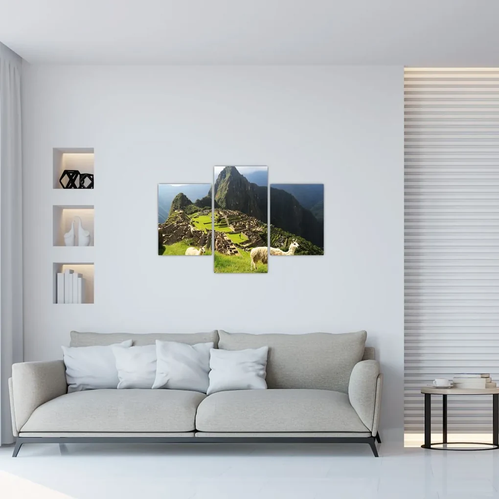 Obraz - Machu Picchu (90x60 cm)