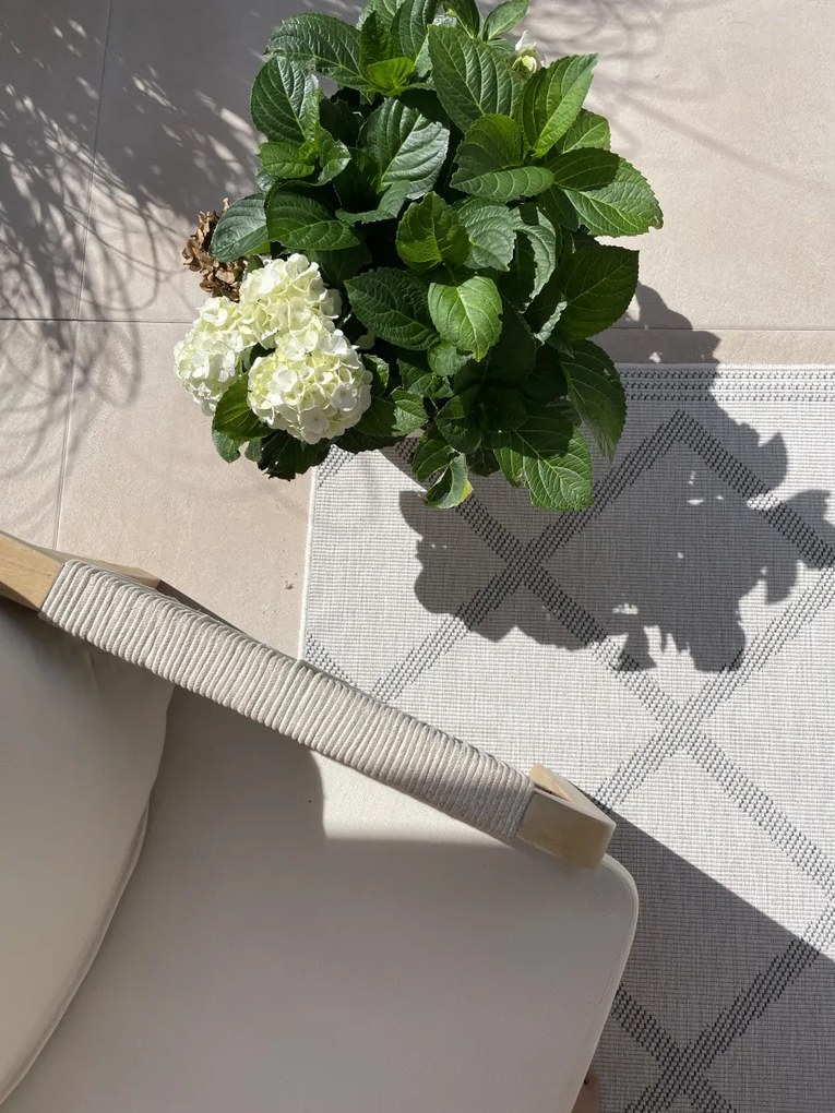 Hanse Home, Kusový koberec Twin Supreme 103760 Grey / Cream – na von aj na doma, 200x290, šedá, chodba / predsieň