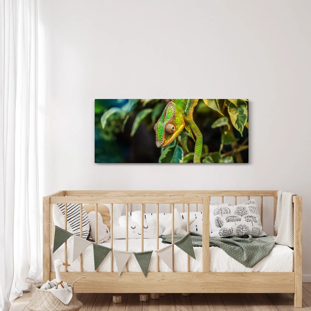 Obraz chameleóna (120x50 cm)