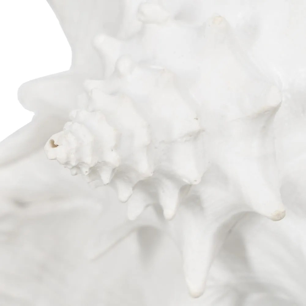 Soška z polyresínu (výška 13 cm) Seashell – Ixia