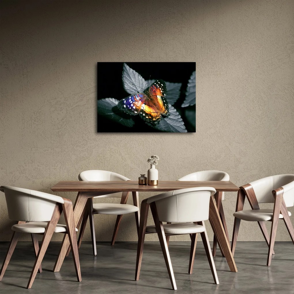 Obraz motýľa (70x50 cm)